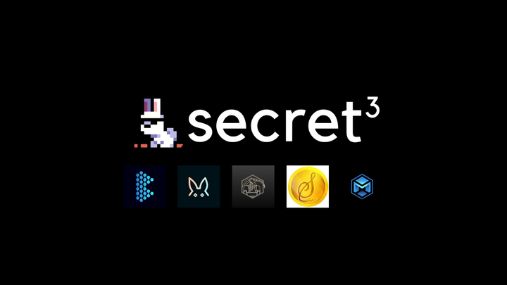 Project Spotlight #28